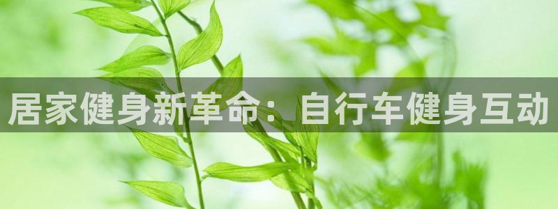 云顶集团进入官网